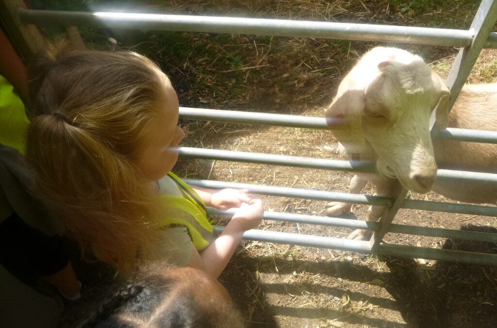 Tiger and Zebra Groups’ Exciting Adventure to Windmill Hill City Farm!