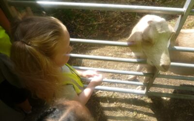 Tiger and Zebra Groups’ Exciting Adventure to Windmill Hill City Farm!
