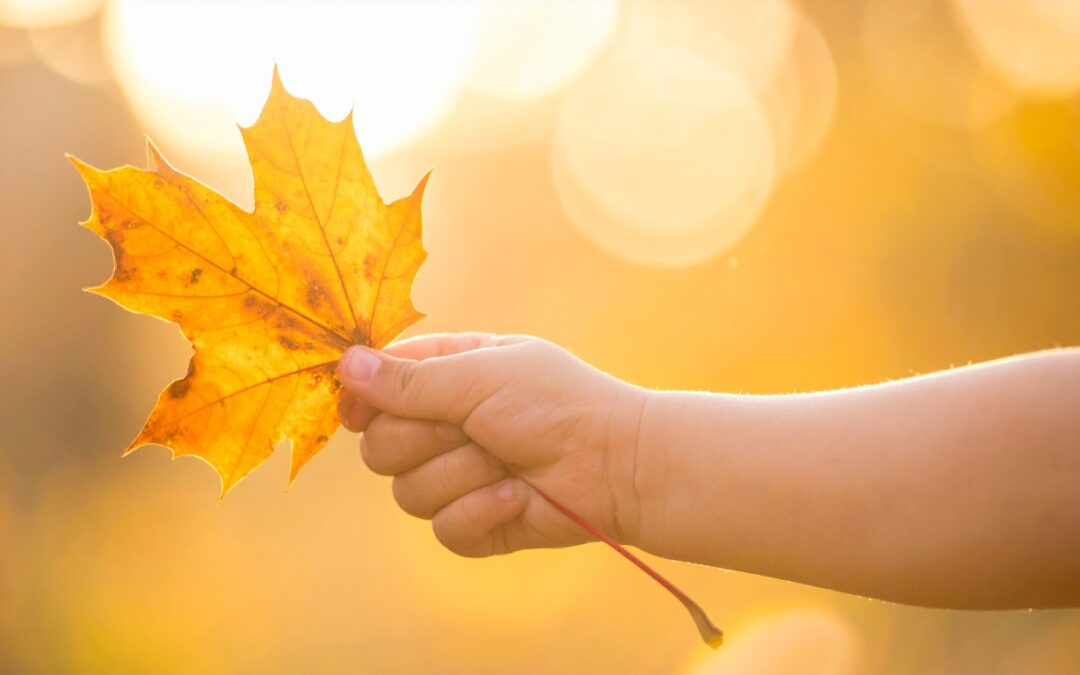 Newsletter – October 2025