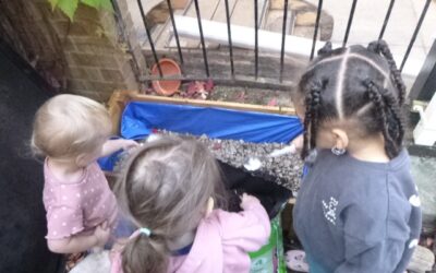 Cashmore Giraffe and Hippo Group Term 1 Update