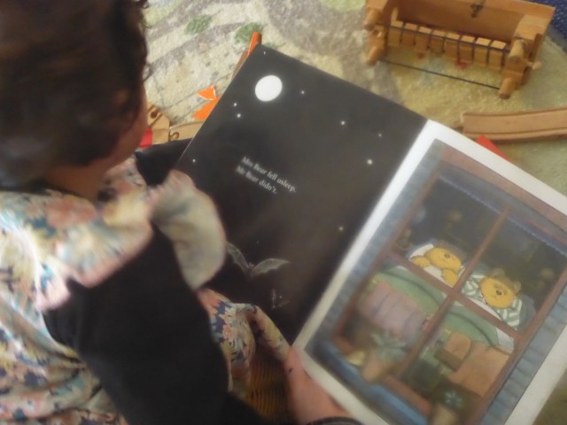 Cashmore Zebra and Tiger Group Term 1 Update