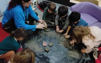 Cashmore Term 2 Update for Zebra and Tiger Groups