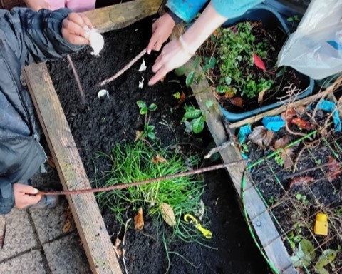 Cressida_Caven_20251024_135852