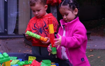 Newsletter – January 2026