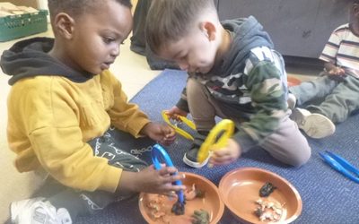 A Fantastic Start for Hippos and Giraffes